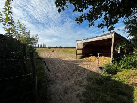 Offenstall für unsere Rentner